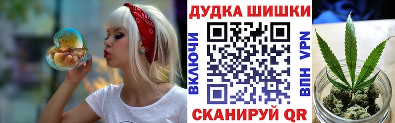 Бошки Шишки план  Мглин 